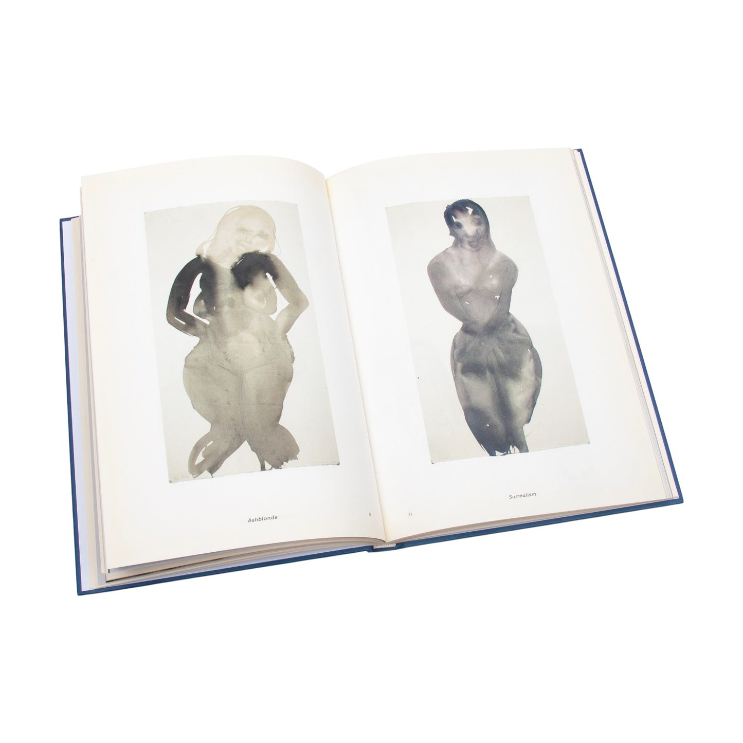 Marlene Dumas: Wet Dreams By Jean-Christophe Ammann,