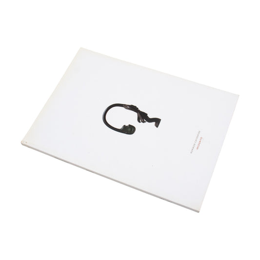 Norman Catherine: Incognito By Hazel Friedman And Angus Taylor